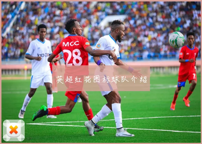 英超红花图标球队介绍