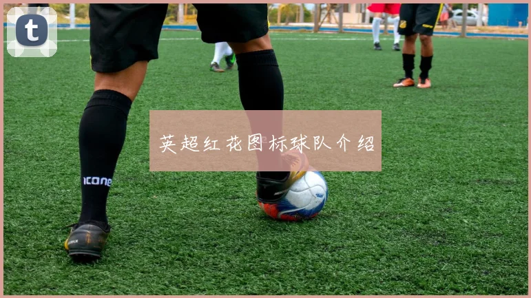 英超红花图标球队介绍